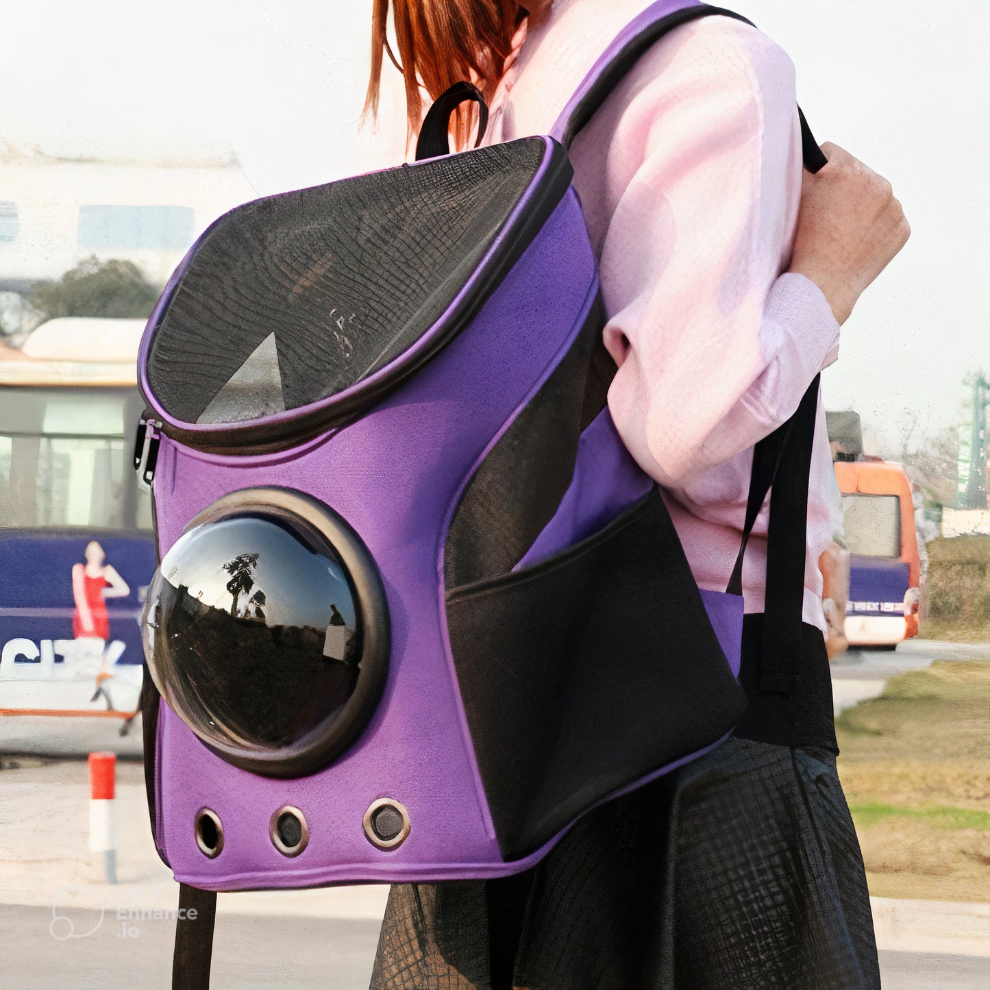 RoamRite Tote™ – Foldable Pet Carrier for Travel & Everyday Adventures