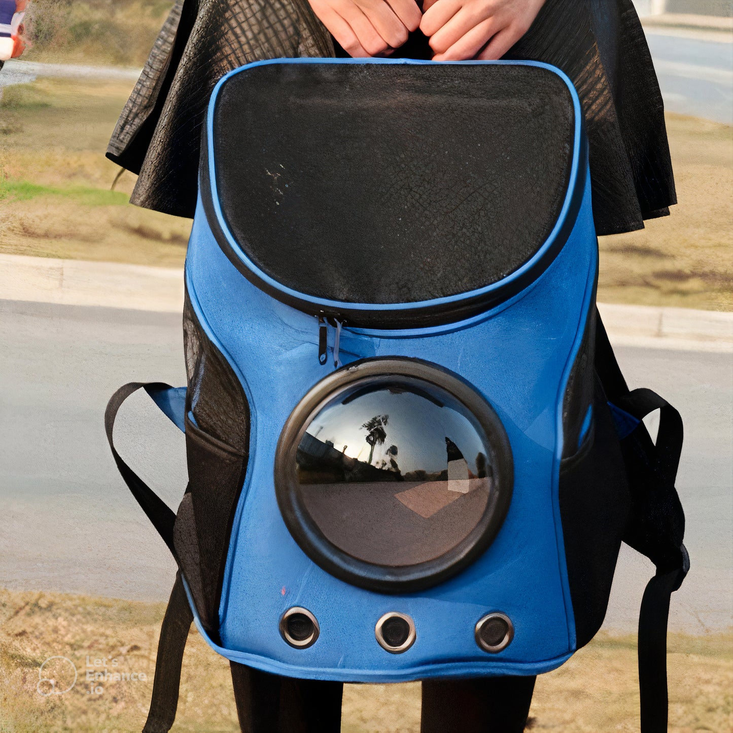 RoamRite Tote™ – Foldable Pet Carrier for Travel & Everyday Adventures