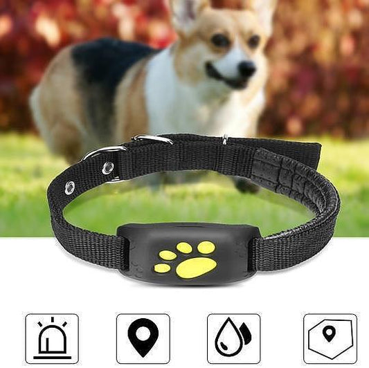 PawTrack Nova™ – Advanced GPS Pet Tracker for Dogs & Cats
