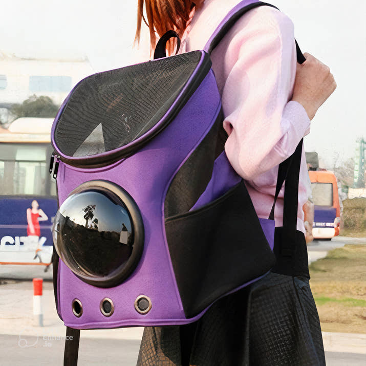 RoamRite Tote™ – Foldable Pet Carrier for Travel & Everyday Adventures