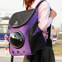 RoamRite Tote™ – Foldable Pet Carrier for Travel & Everyday Adventures