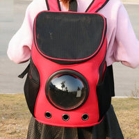 RoamRite Tote™ – Foldable Pet Carrier for Travel & Everyday Adventures
