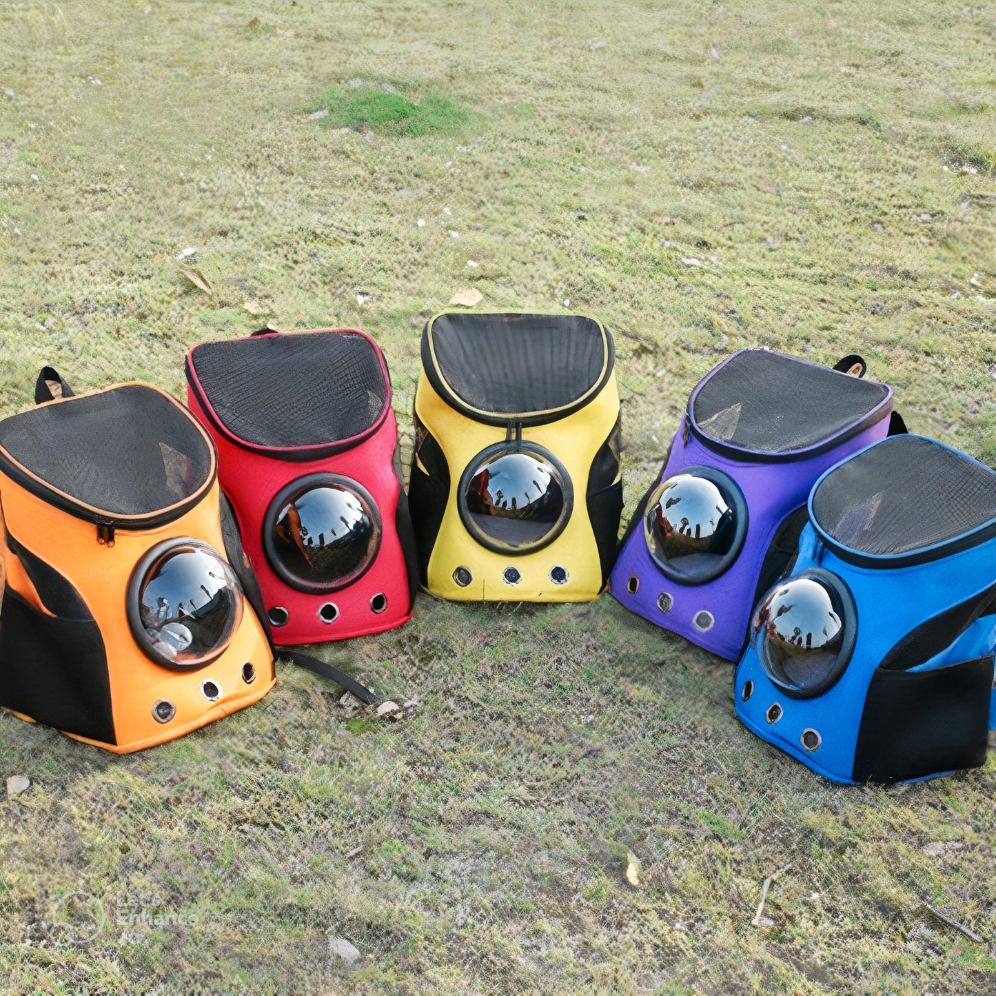 RoamRite Tote™ – Foldable Pet Carrier for Travel & Everyday Adventures