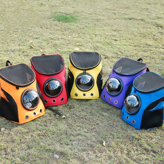 RoamRite Tote™ – Foldable Pet Carrier for Travel & Everyday Adventures